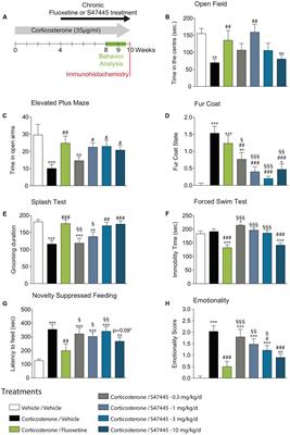 S 47445 Produces Antidepressant- and Anxiolytic-Like Effects through Neurogenesis Dependent and Independent Mechanisms